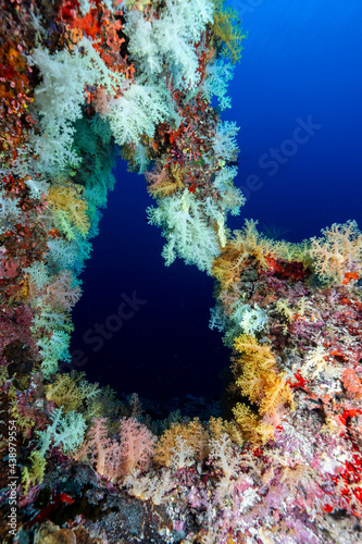 Fototapeta Naklejka Na Ścianę i Meble -  Underwater landscapes of Maldives where coral reefs are recovering well thanks to improved protection.