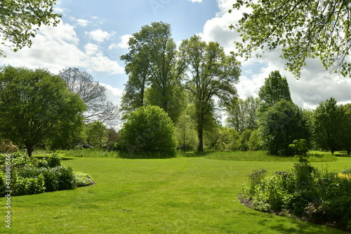Eclaircie entre deux nuages sombres donnant un contraste entre le vert de la v  g  tation luxuriante et le gris du ciel    l arboretum de Wespelaar en brabant Flamand 