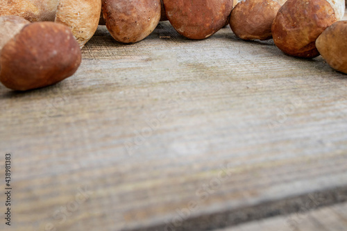 Mushroom Boletus over Wooden Background. Autumn Cep Mushrooms. Ceps Boletus edulis over Wooden Background, close up on wood rustic table. Cooking delicious organic mushroom. Gourmet food