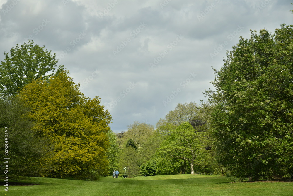 Naklejka premium Promenade sur la pelouse principale sous un ciel gris à l'arboretum de Wespelaar 