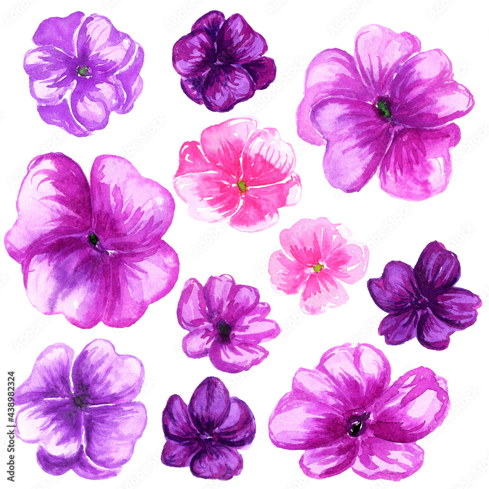 Watercolor balsam pink violet purple flower set. 
Isolated rose balsam, touch-me-not flowers collection. - obrazy, fototapety, plakaty 