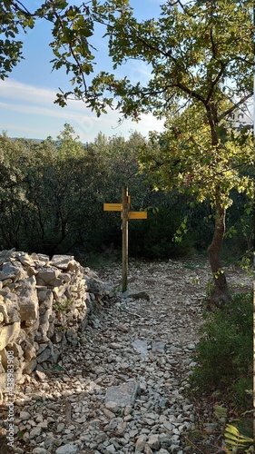 CABRIERES D'AVIGNON (Vaucluse) photo