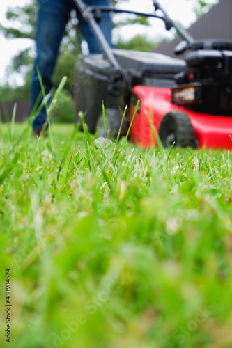 Fotografie Lawn grass mowing