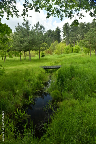 Petit ruisseau avec passage sur planches sous l'ombre des arbres devant la végétation luxuriante de l'arboretum de Wespelaar en Brabant Flamand 