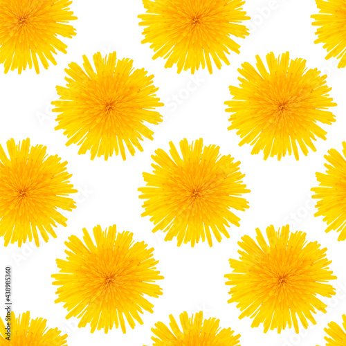 Seamless pattern made from dandelion yellow flowers isolated on white background.