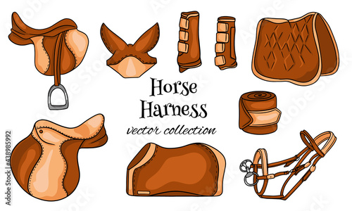 Horse harness a set of equestrian equipment saddle bridle blanket protective boots in cartoon style