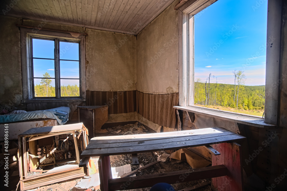 Idyllic view from a long abandoned house in the forest