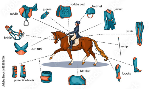 Equestrian sport infographics horse harness and rider equipment in the center of a rider on a horse in cartoon style