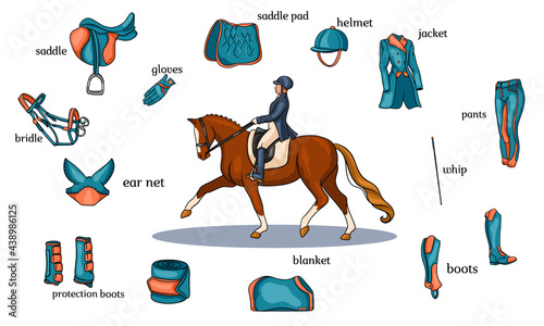 Equestrian sport infographics horse harness and rider equipment in the center of a rider on a horse in cartoon style