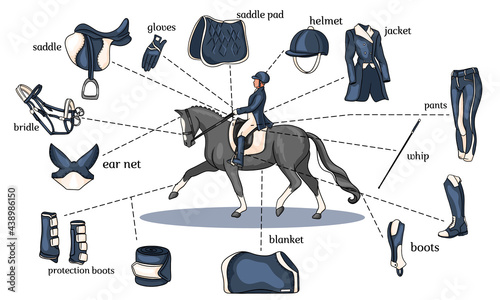 Equestrian sport infographics horse harness and rider equipment in the center of a rider on a horse in cartoon style