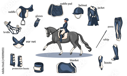 Equestrian sport infographics horse harness and rider equipment in the center of a rider on a horse in cartoon style