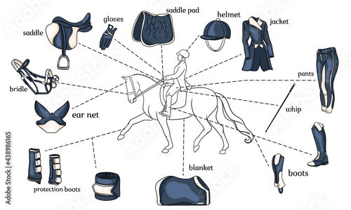 Equestrian sport infographics horse harness and rider equipment in the center of a rider on a horse in cartoon style