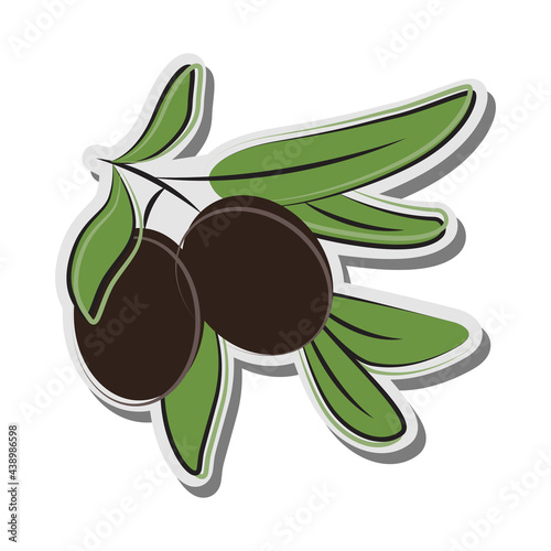 Olive for concept design. Vegetarian food. Agriculture symbol. Vegetarian cafe. Agriculture farm. Green olive tree branch.  photo