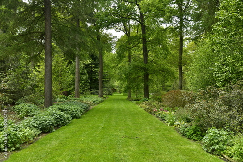 La végétation paysagère exceptionnelle entre les chemins gazonnés de l'arboretum de Wespelaar en Brabant Flamand  photo