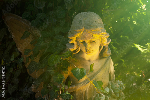 Картината върху платно Old angel statue which has become overgrown with ivy