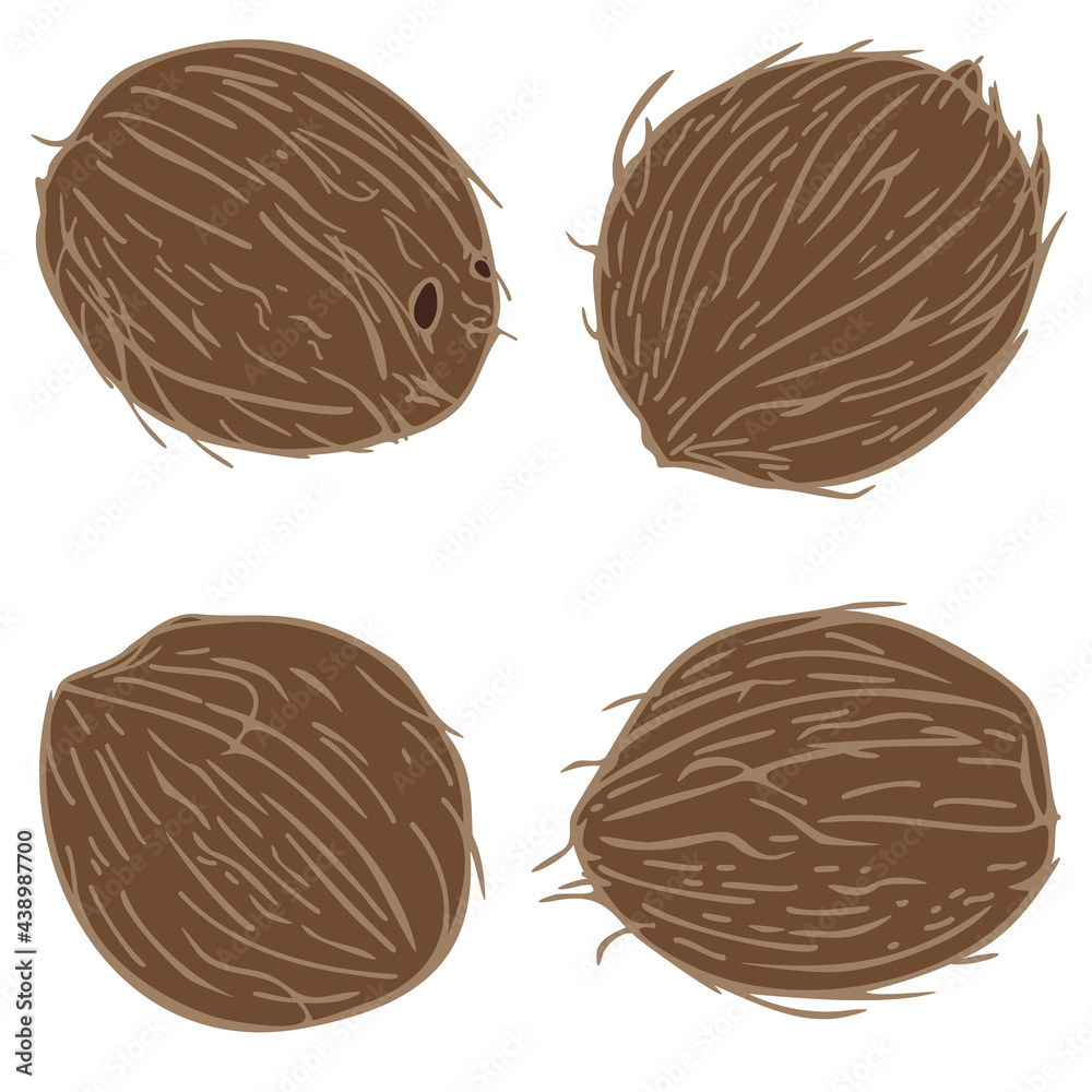 Vector illustration with collection of coconuts. Tropical food design. Vector illustration with collection of coconuts. Tropical food design.