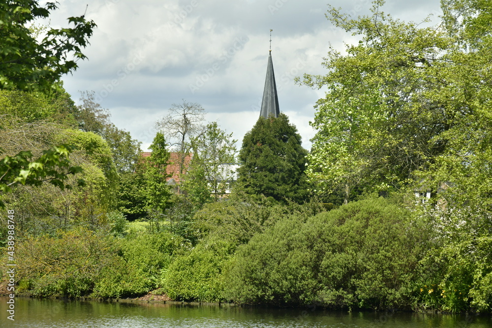 Le clocher de l'église du village dans la continuité d'un des arbres rares de l'arboretum de Wespelaar en Brabant Flamand 
