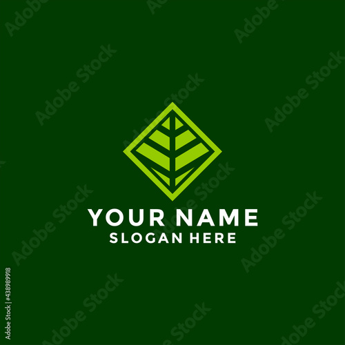 Hexagon leaf, eco, garden, botany, nature logo