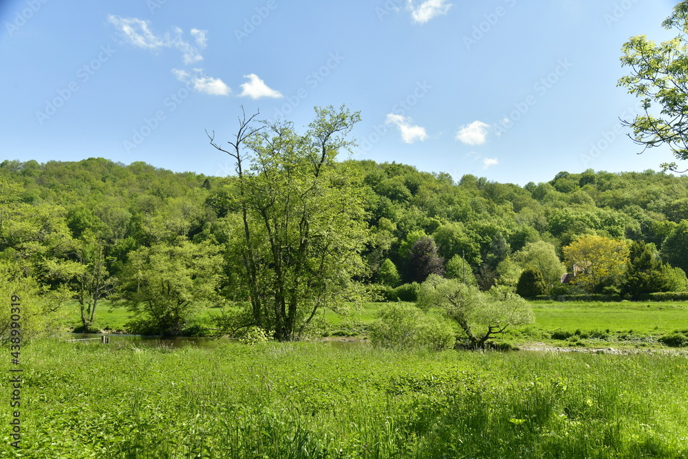 Prairies et broussailles dans la vallée de l'Ourthe à Esneux au sud de Liège Prairies et broussailles dans la vallée de l'Ourthe à Esneux au sud de Liège