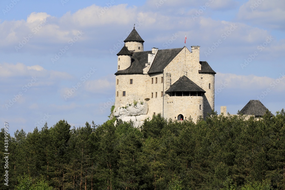 Bobolice Castle, Krakow-Czestochowa Upland (Polish Jura), Poland