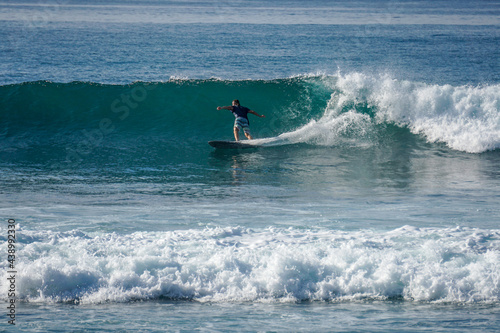 Canvas Print Surfer on perfect blue aquamarine wave, empty line up, perfect for surfing, clea
