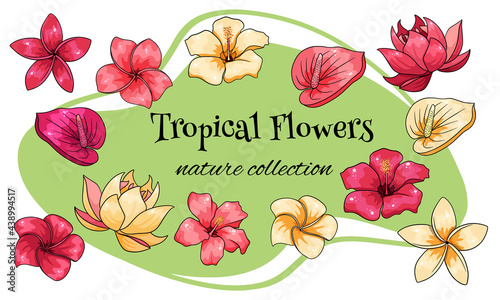 Tropical collection with exotic flowers in cartoon style © Rina Antipina