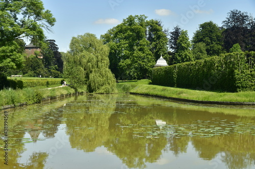 Reflet de l   tang du Moulin au milieu de la v  g  tation luxuriante du parc d Enghien en Hainaut 