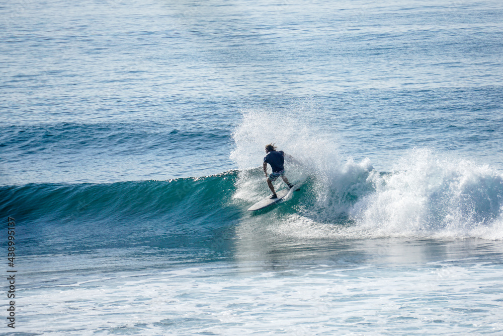 Surfer on perfect blue aquamarine wave, empty line up, perfect for surfing, clean water, Indian Ocean close to Mirissa