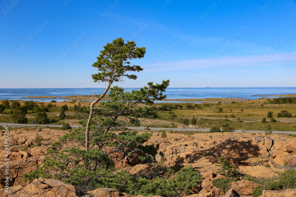 Rocky landscape on Leka island - 400 million years ago, the seabed ...