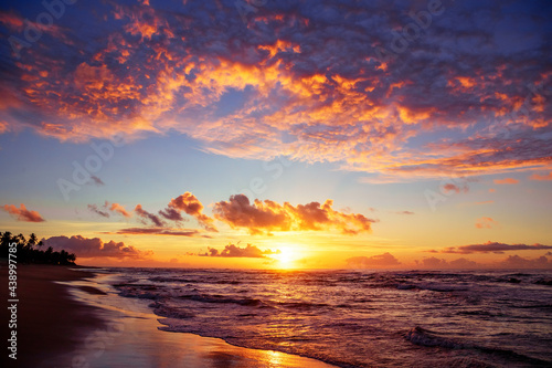 Fototapeta Naklejka Na Ścianę i Meble -  magical sunset on the beach of brazil knowing new places