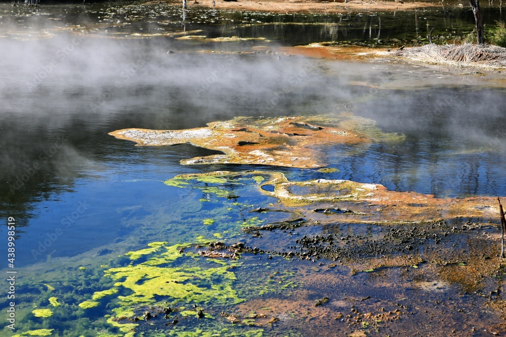 公園内の地熱による湯気が立ち昇るカラフルな温泉【ニュージーランド・ロトルア】
