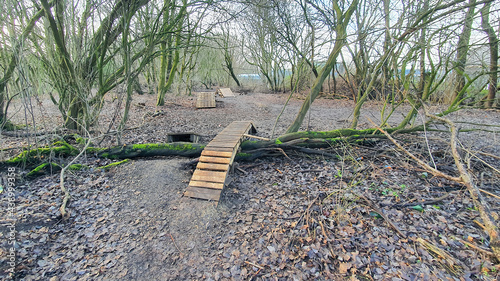 Bike Trail Ramps in the Woods photo