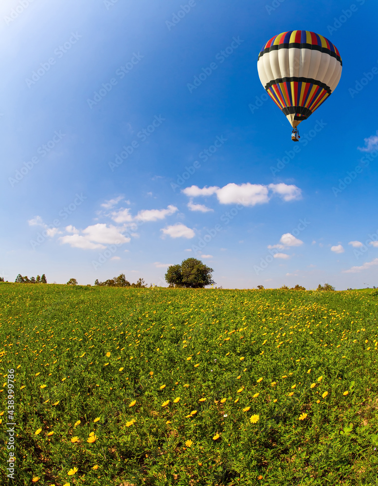 Fototapeta premium Bright hot air balloon flies over the field