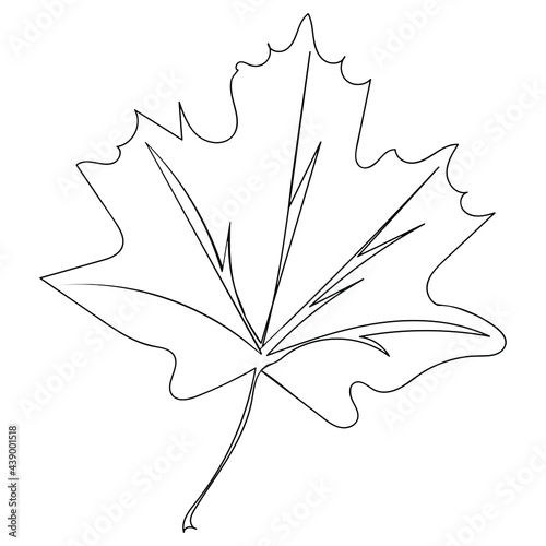 Maple leaf isolated on a white background. Drawing a single continuous line. Vector illustration