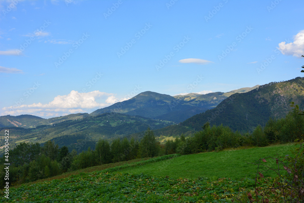 Mountain summer landscape background. Travel photo