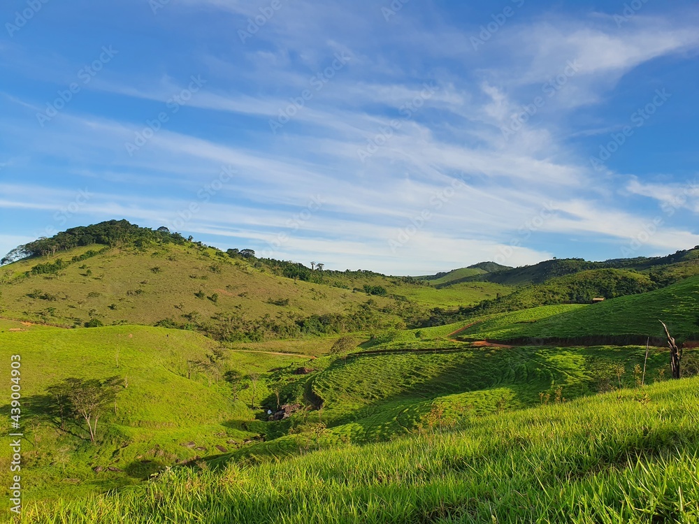 Fototapeta premium landscape with sky