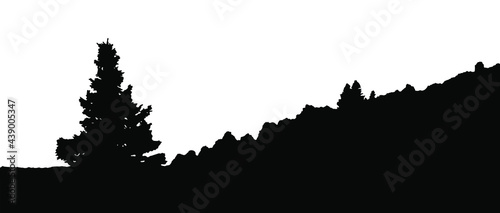 A fir-tree grows in the meadow. A dense forest is visible in the distance. Silhouettes isolated on white background. Horizontal panorama. Vector  eps10.