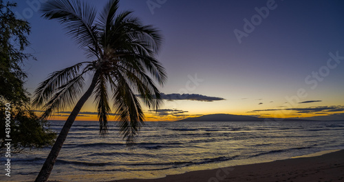 Fototapeta Naklejka Na Ścianę i Meble -  Amazing sunset and palms on the beach. Beautiful nature of Hawaii. USA