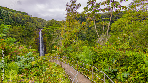 Akaka falls. Water drops from the cliff edge to the plunge pool below. Big island Hawaii. photo