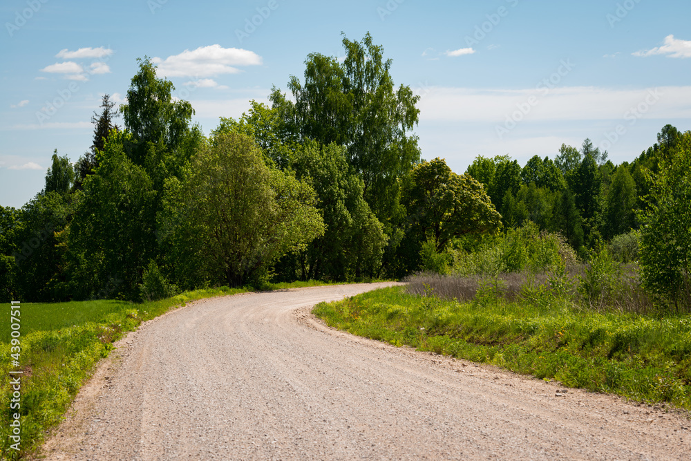 the rural not asphalted road passing through an forest the rural not asphalted road passing through an forest