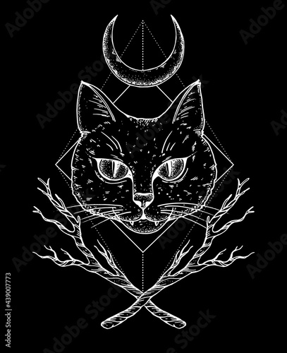 Mystical cat sketch. Hand drawn illustration. T-shirt design. Occultism, paganism and witchcraft. Halloween illustration.