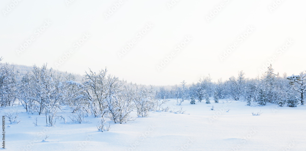 wonderful winter landscape on a sunny day.