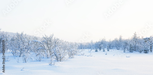 wonderful winter landscape on a sunny day.