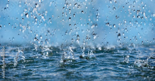 Fotografie, Obraz rain - in the macro detail
