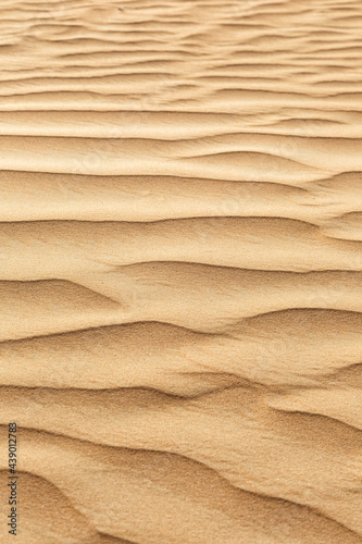 Dubai desert sand in United Arab Emirates portrait format