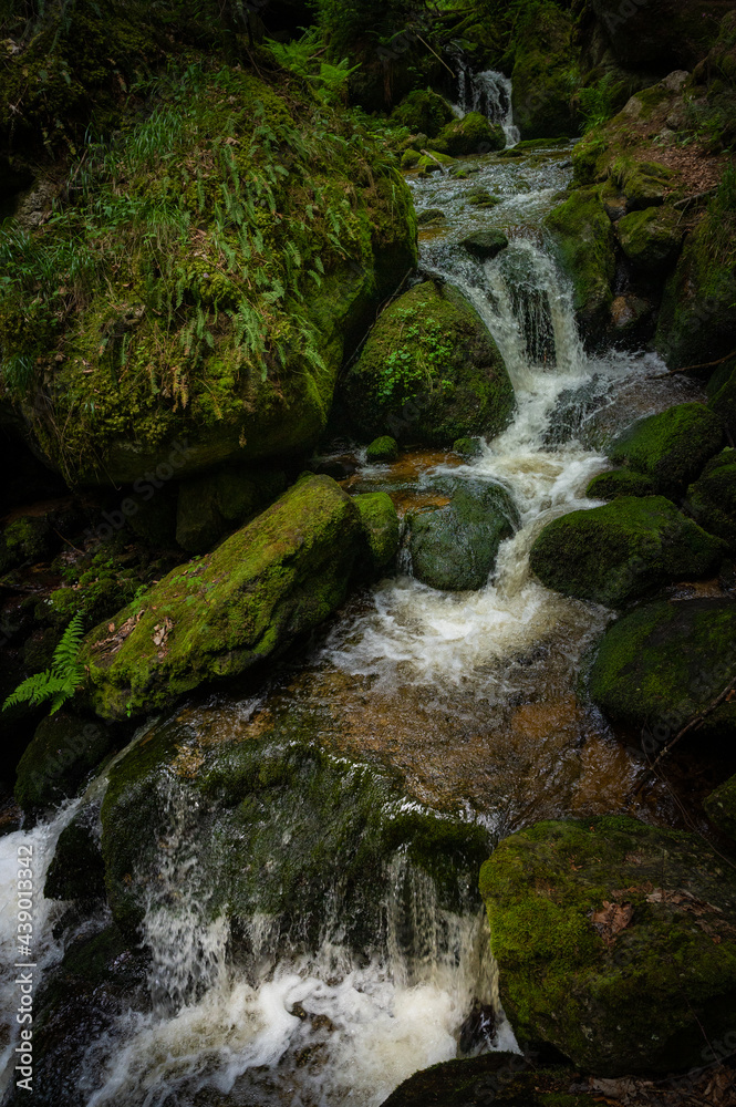 Idylle der wilden Wasser in der Ysperklamm