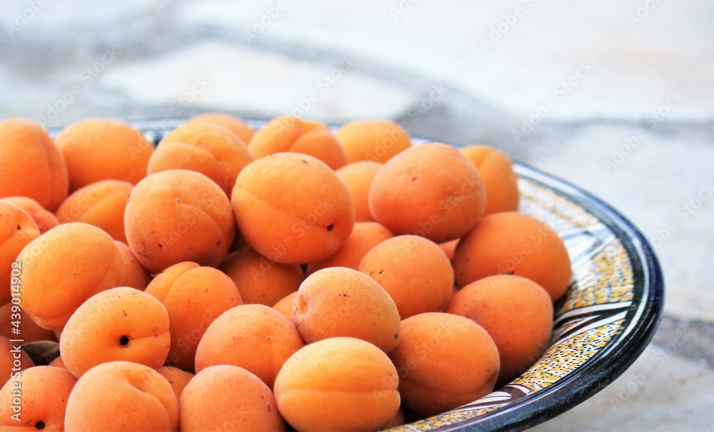 Freshly picked apricots in a bowl, Provence, France Freshly picked apricots in a bowl, Provence, France