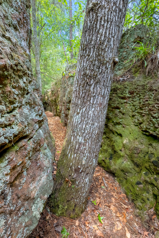 Broxton Rocks Preserve, Broxton, Georgia Broxton Rocks Preserve, Broxton, Georgia