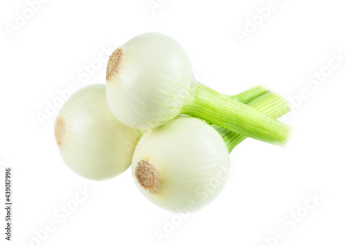 Three heads of fresh young onions isolated on a white background.