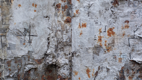 leaflets on the old wall. abstract rustic background for text